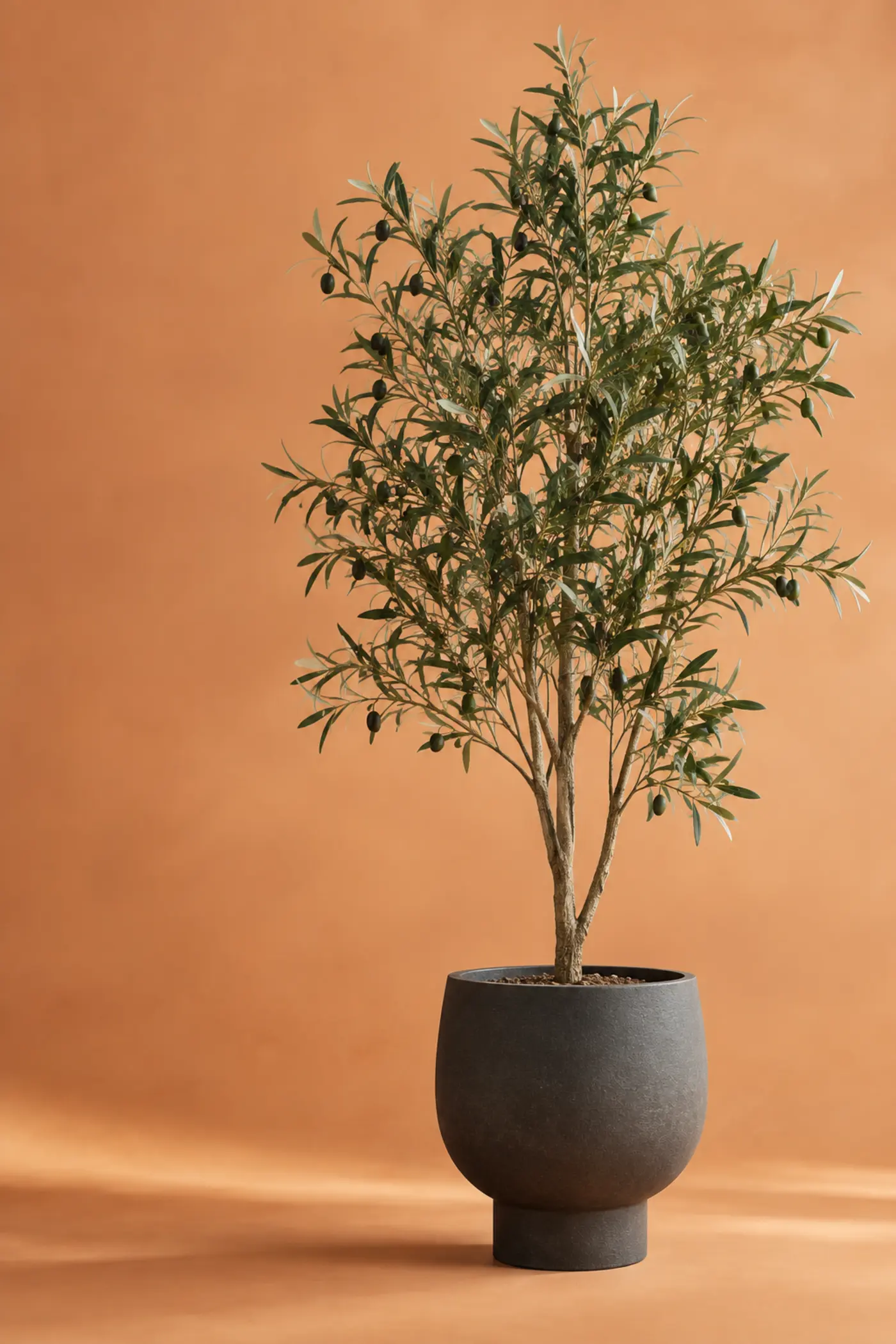 Levensechte kunst-olijfboom in een donkere designpot